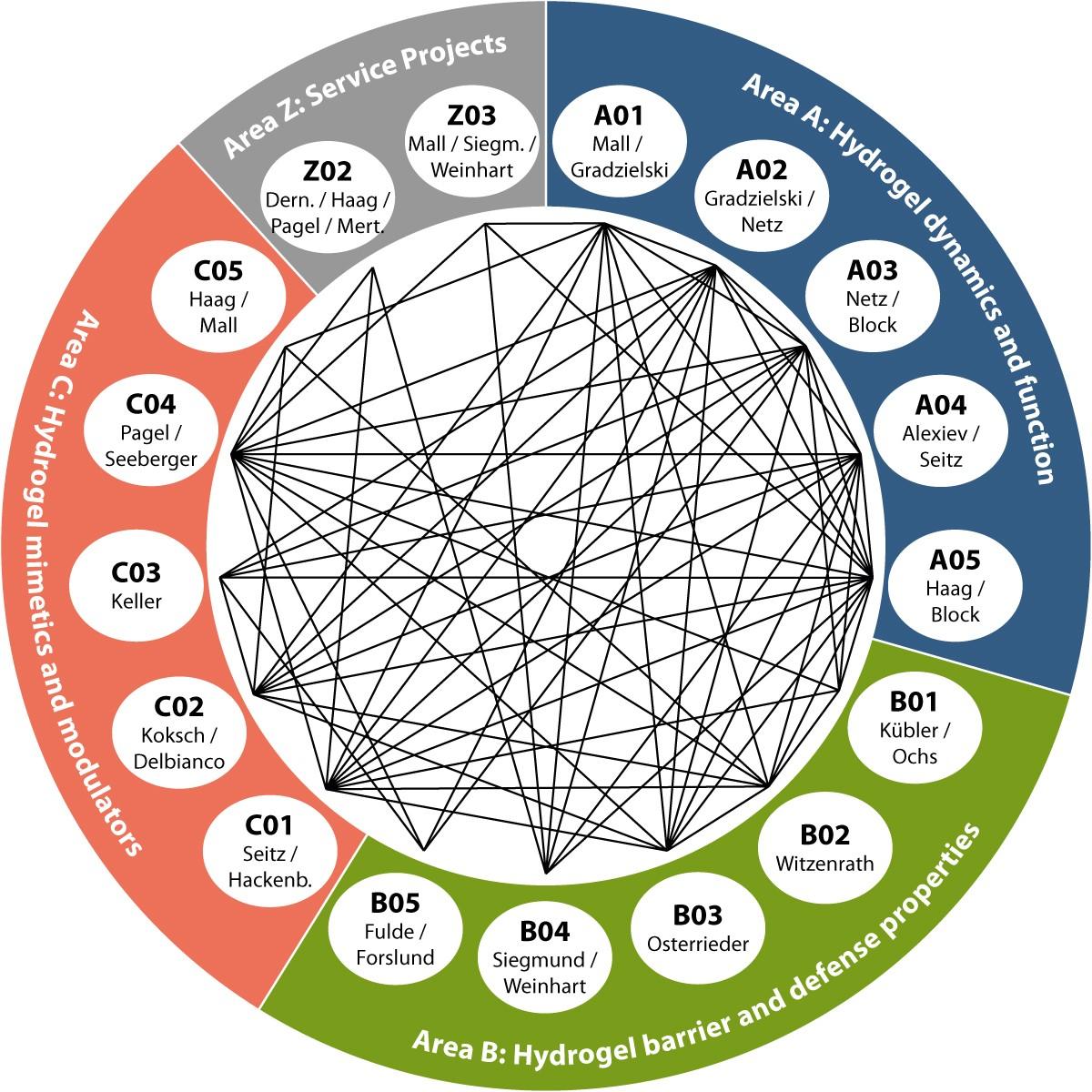 Collaborations within the CRC 1449